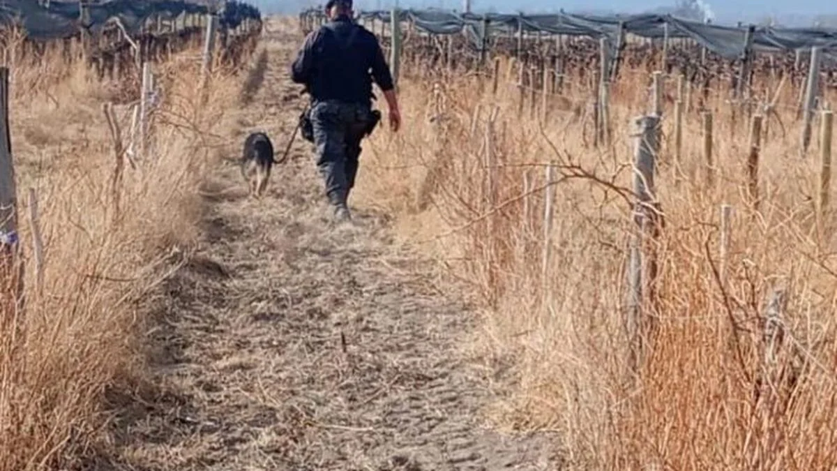 Con la intervención de "Troya", uno de los perros de la Policía, recuperaron elementos robados