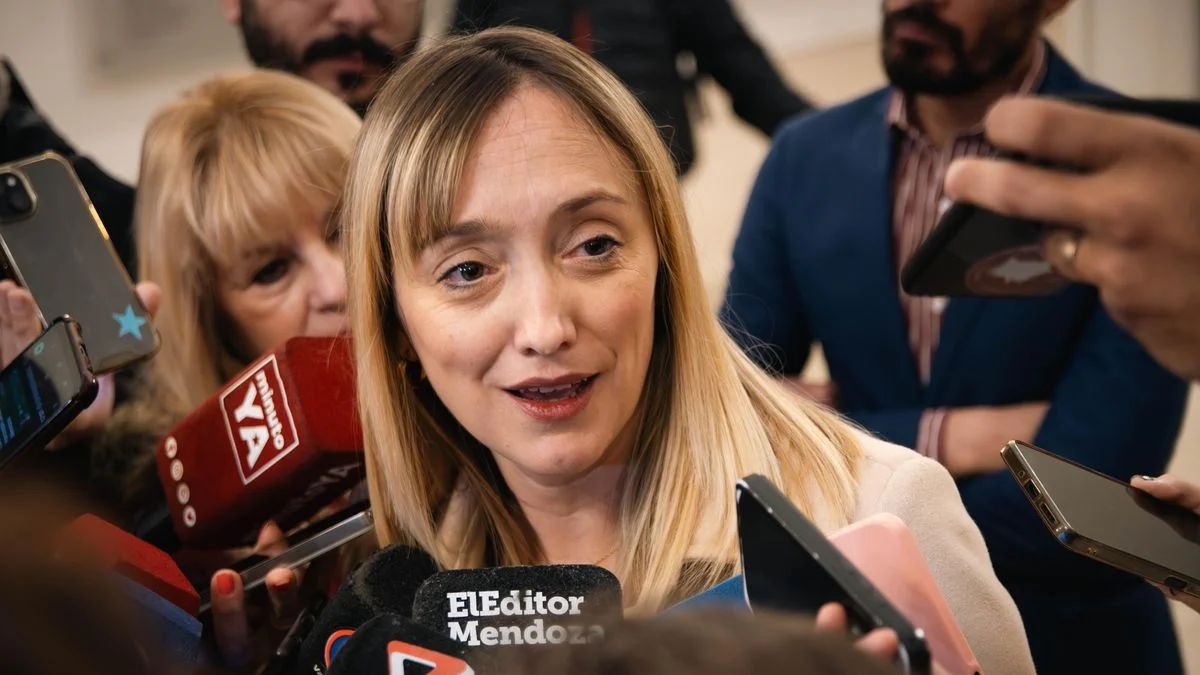 La advertencia de Anabel Fernández Sagasti sobre la privatización de la energía nuclear