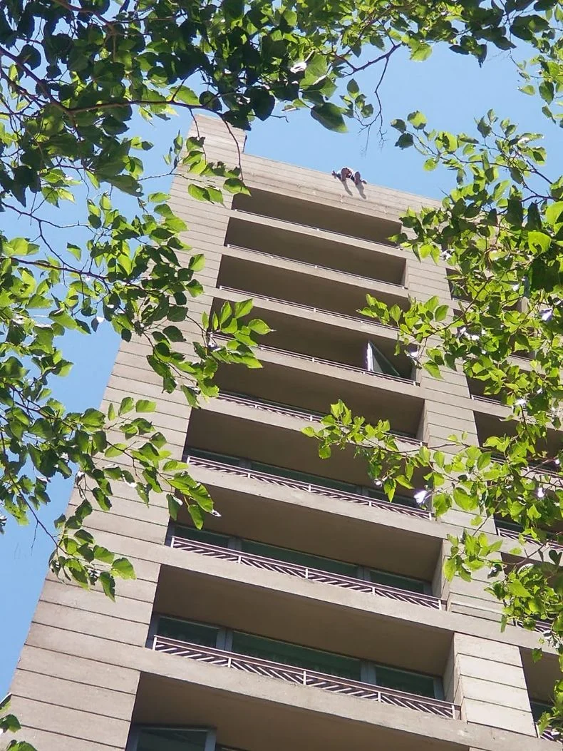 Una mujer intentó quitarse la vida en Ciudad.