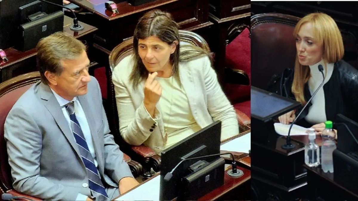 Cómo votaron los senadores mendocinos el rechazo del pliego de Lijo y García-Mansilla