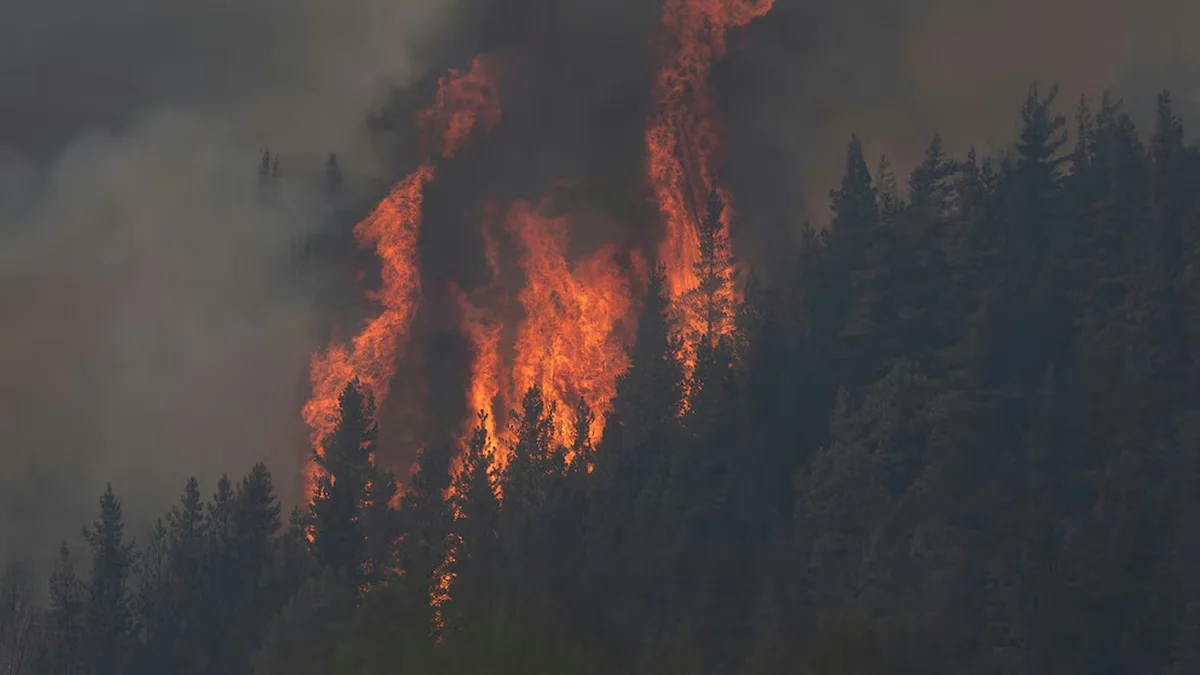 Alerta en Chubut: se reactivaron los incendios forestales por el viento y las altas temperaturas