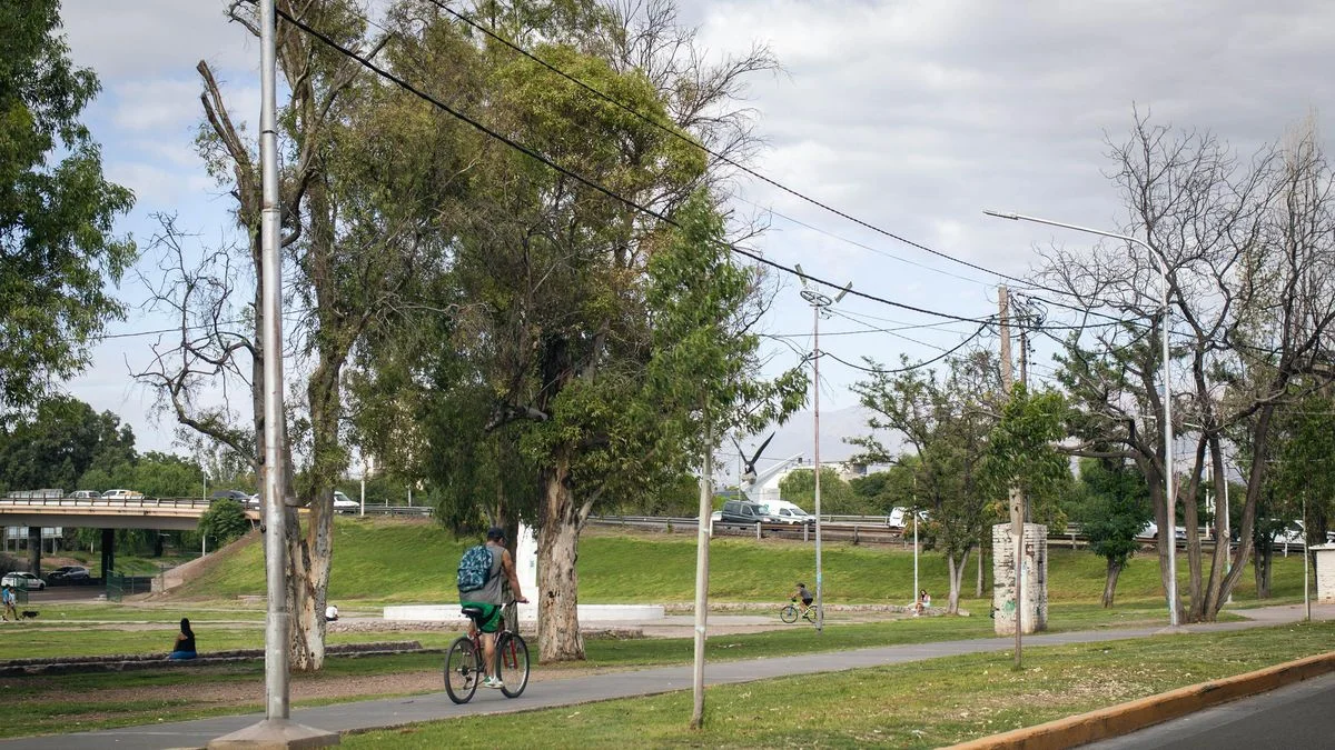 El tiempo en Mendoza: algo nublado y ventoso con un descenso de la temperatura