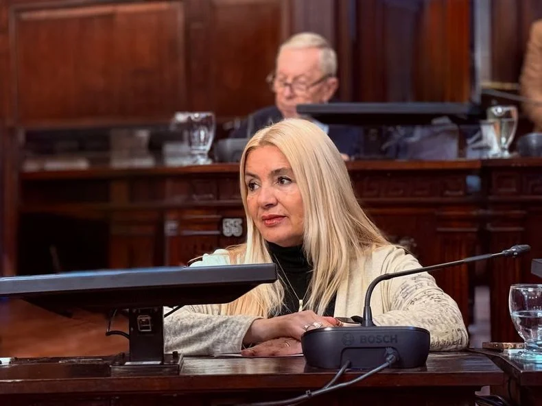 Laura Balsells Mir&oacute;, diputada del Pro que busca analizar la IA y el mercado laboral.&nbsp;