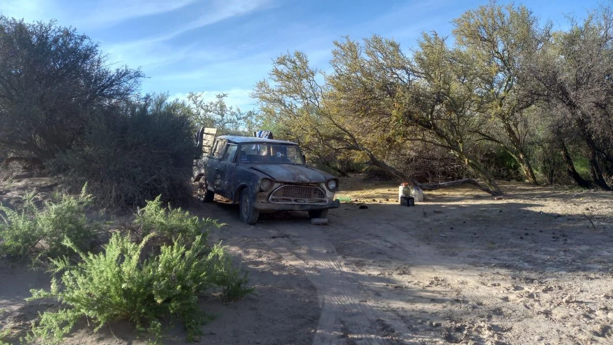 La Policía Rural intervino en defensa de la fauna protegida
