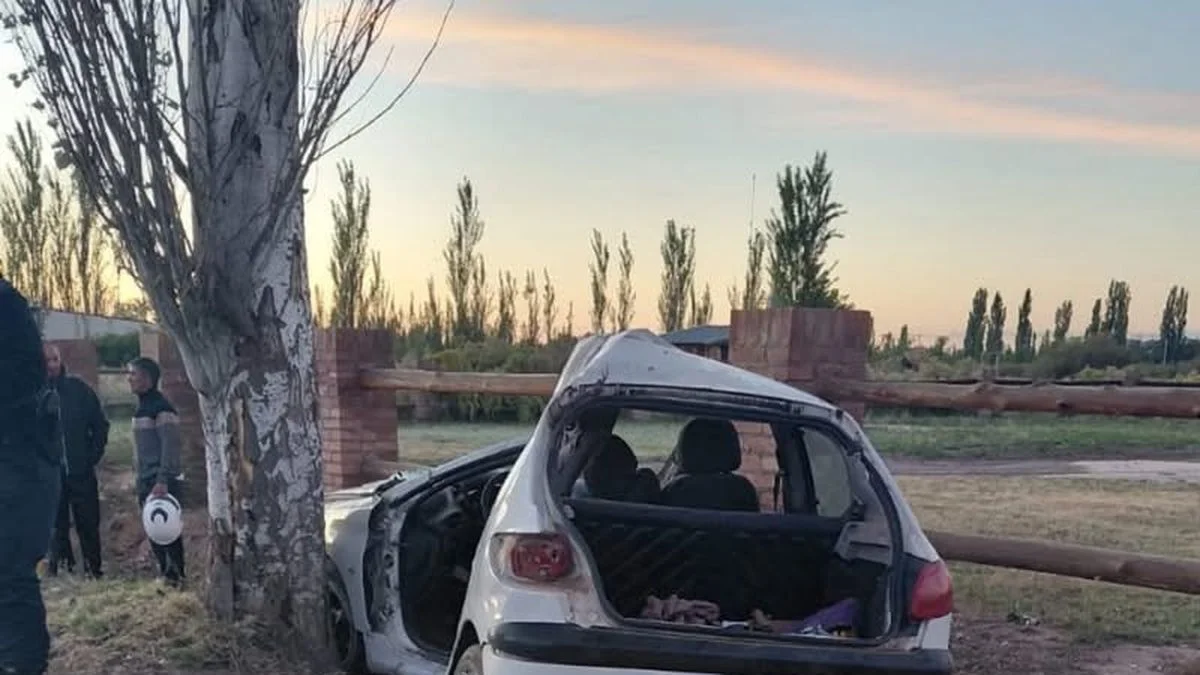 Accidente en San Rafael: estrelló su auto contra un árbol y se encuentra en terapia intensiva