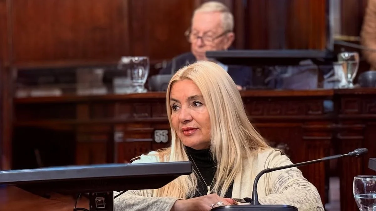 Adultos mayores: de qué se tratan los dos proyectos presentados por el Pro