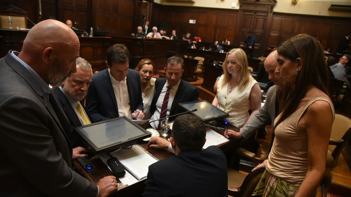 San Jorge en el Senado: la extracción de oro y cobre en Uspallata se discutirá en cinco comisiones