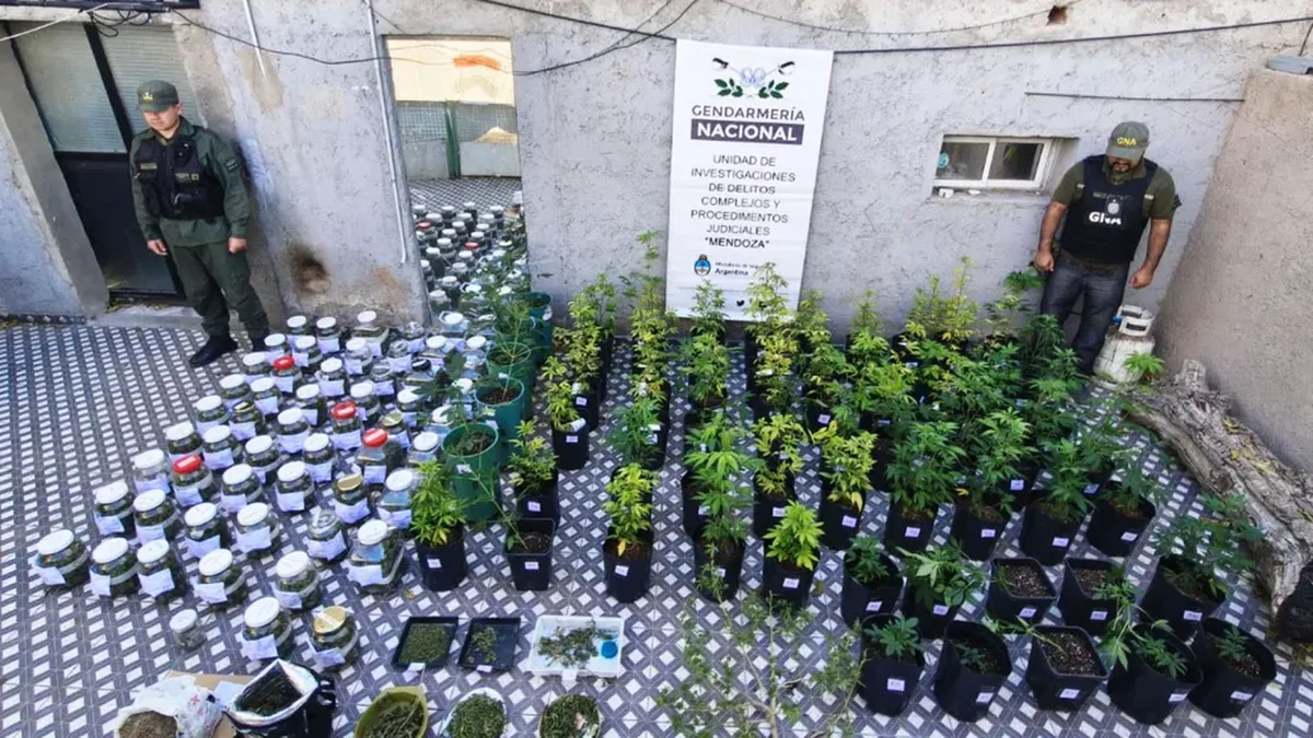 Cayó en Mendoza una banda delictiva investigada por tráfico de personas y de armas a Chile