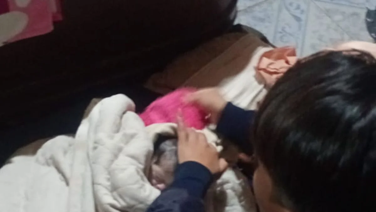 Dos policías asistieron a una mujer que estaba por dar a luz en una vivienda de Maipú