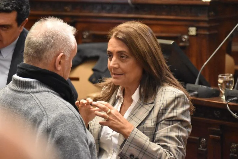 Gabriela Lizana, diputada del Frente Renovador.&nbsp;