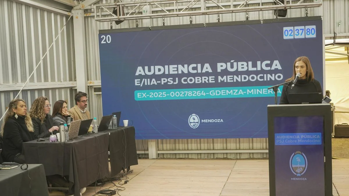 Megaminería en Uspallata: Oikos impugnó la audiencia del Gobierno y San Jorge y pidió la nulidad del proceso