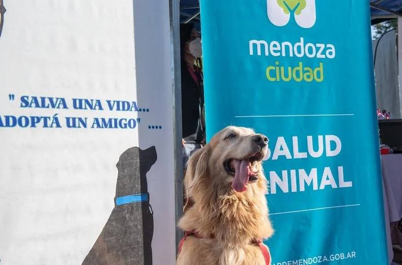 Vacunaciones, desparasitaci&oacute;n, esterilizaci&oacute;n y consultas gratuitas durante junio en distintos puntos de la Ciudad de Mendoza.&nbsp;