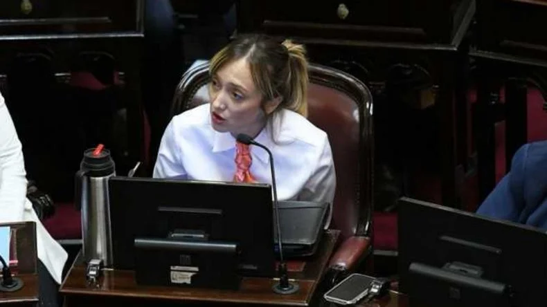 Fernández Sagasti respondió una chicana de Caputo: "Toto, somos grandes" y "traé la tuya del exterior"