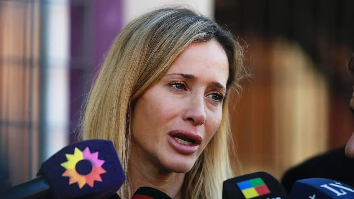 Juicio contra el ex marido de Julieta Prandi: se esperan hoy los alegatos finales