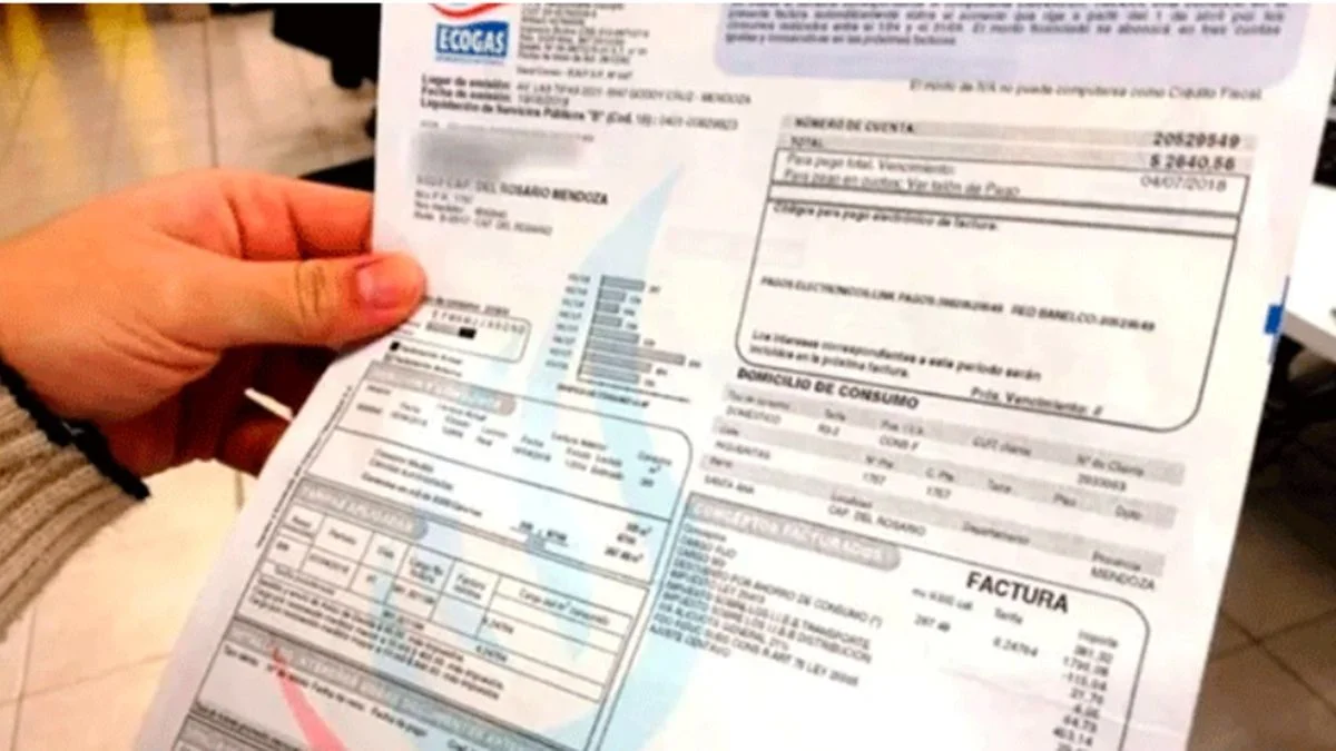 Milei habilitó el mecanismo para subir las tarifas de luz y gas desde enero