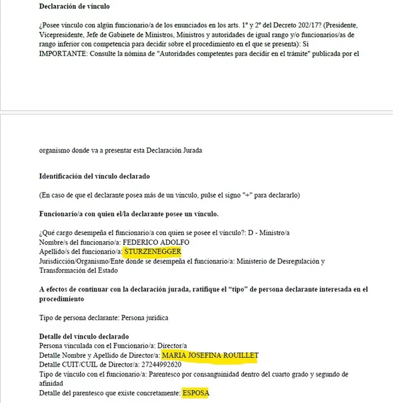 La asociaci&oacute;n es dirigida por la esposa de Federico Sturzenegger, y Canciller&iacute;a lo blanque&oacute;.