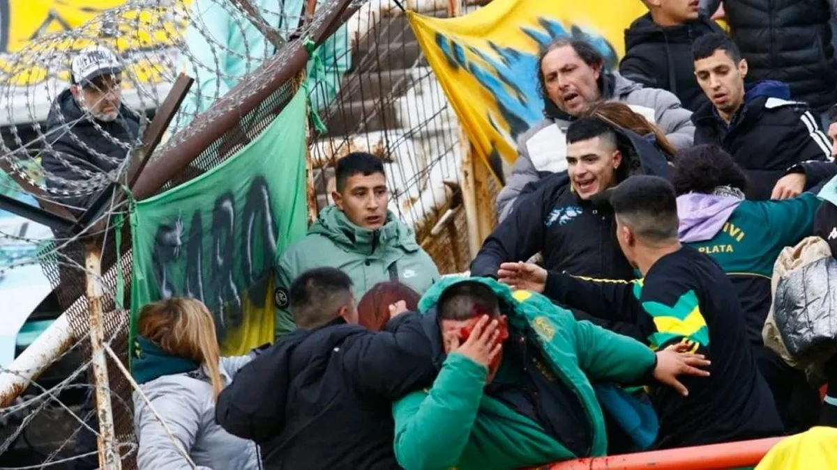 El Ministerio de Seguridad identificó al barra de Aldosivi que atacó a puñaladas a otro hincha en la tribuna