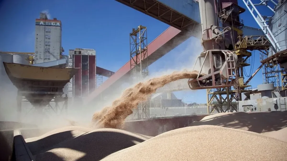 Empresarios cerealeros y aceiteros celebran la reforma laboral: "Había sobreprotección del trabajo"