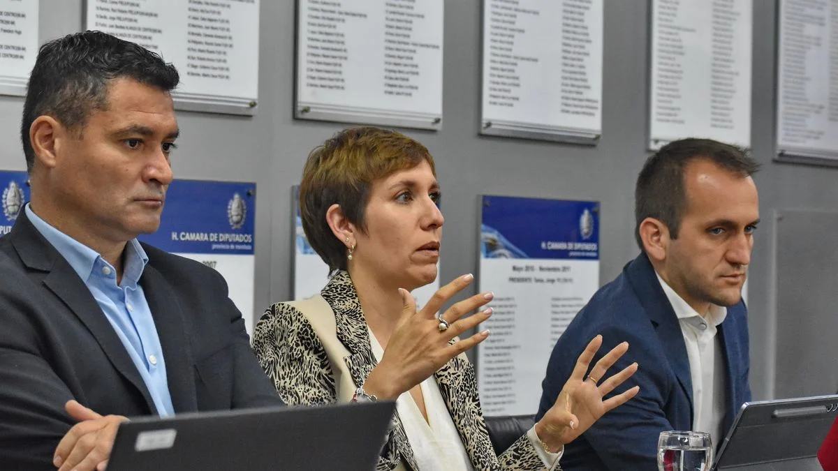 El Gobierno defendió el Proyecto San Jorge y demandó a la oposición: "Tienen que tomar una decisión política"