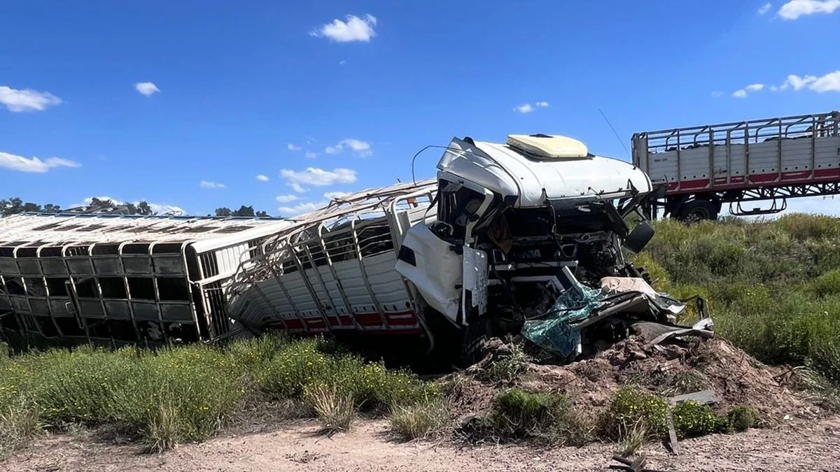 Santa Rosa: un camión con 65 vacunos volcó en Ruta 7 y causó caos en la zona