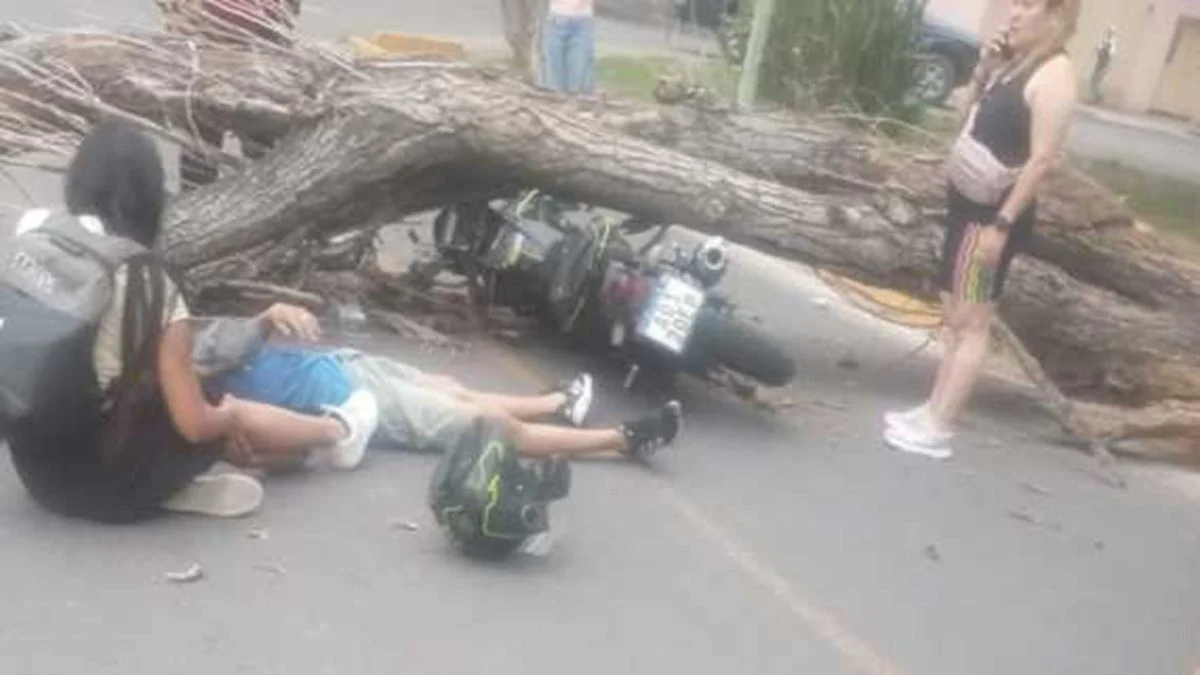 Un árbol cayó sobre un motociclista: el fuerte viento en Guaymallén provocó un accidente