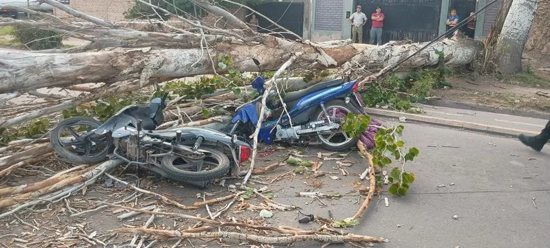 El accidente dej&oacute; como saldo la muerte de un motociclista.