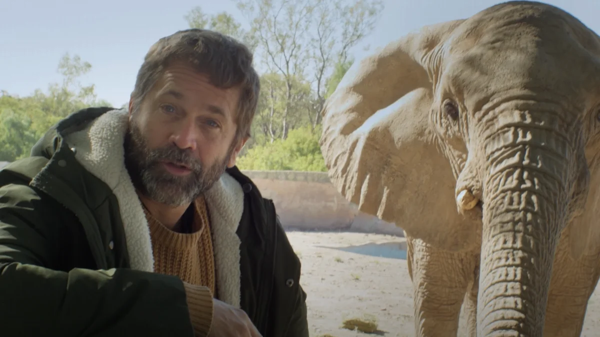 Nicolás Pauls viajará con la elefanta Kenya hacia el santuario en Brasil