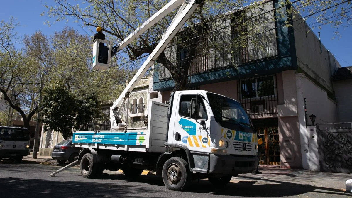 Así funciona la recolección de residuos y los servicios públicos en la Ciudad