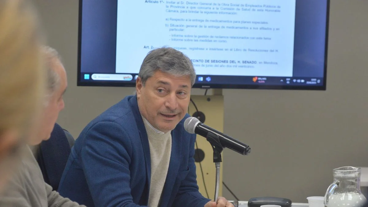 OSEP: su director explicó ante senadores el impacto del aumento de medicamentos