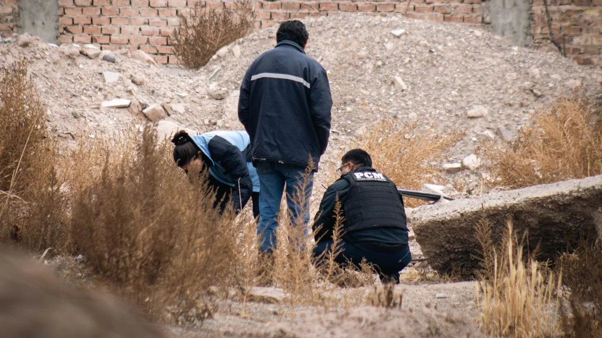 En Argentina hubo 164 víctimas de violencia de género en lo que va del año