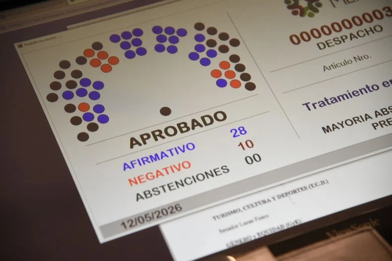 El Senado provincial le dio la media sanci&oacute;n restante al proyecto enviado por el Gobierno.&nbsp;