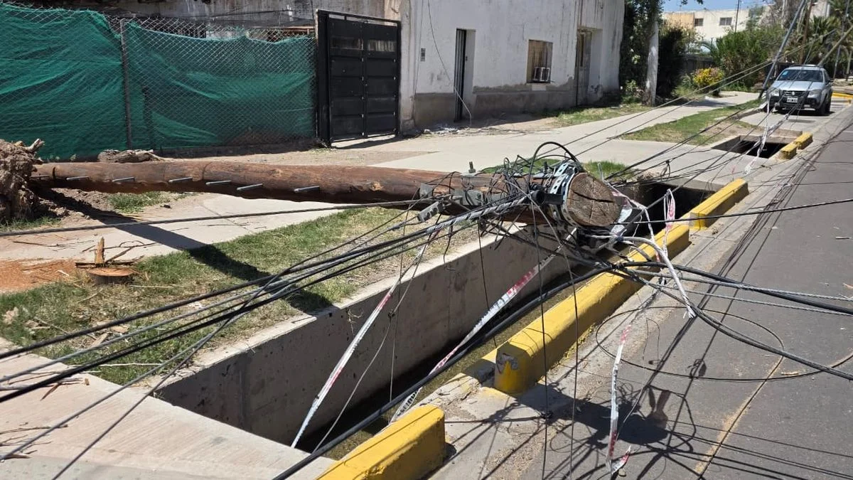El arbolado de Guaymallén: reclamos en los últimos años y una situación que pone en riesgo a los vecinos