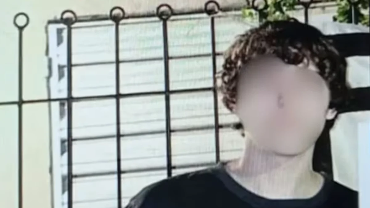Padre ausente, madre con licencia psiquiátrica: la vida del chico que atacó a sus compañeros en Santa Fe