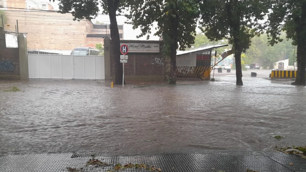 Granizo, árboles caídos y casas sin luz: cuál es el panorama en Mendoza después de las lluvias