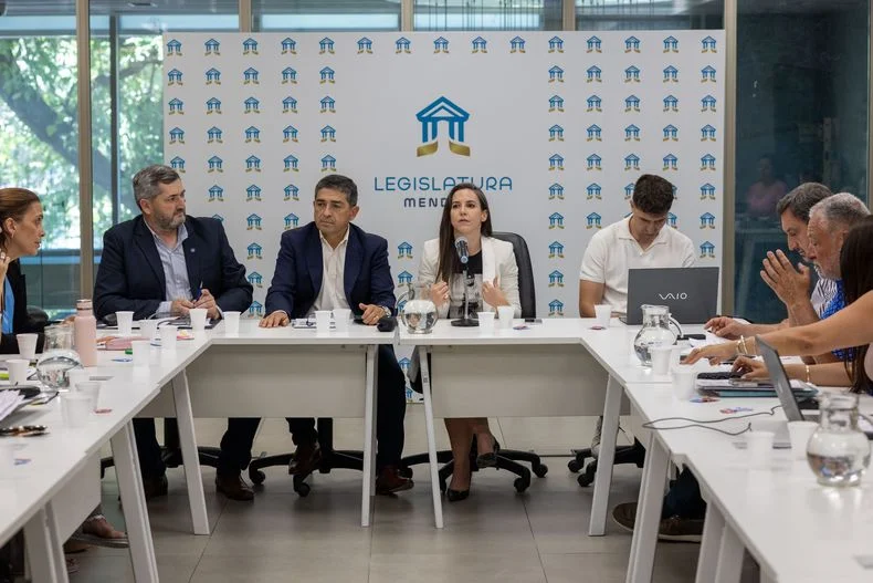 La ministra Mercedes Rus y senadores en la Legislatura