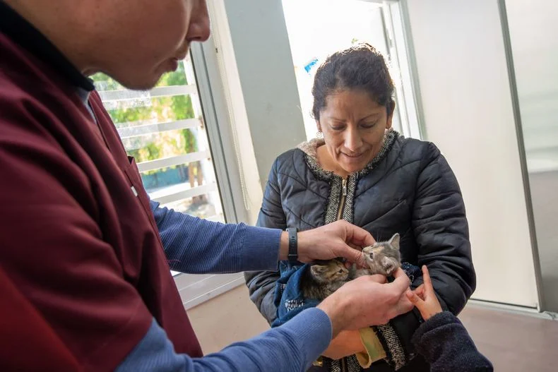 Las mascotas de vecinos de Ciudad podrán acceder a vacunas y desparasitaciones gratuitas. 