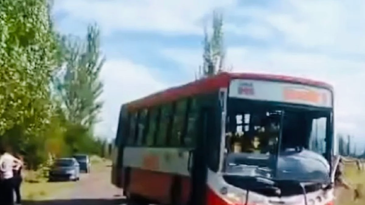 Un colectivo de línea atropelló y mató a un caballo en un departamento del Sur