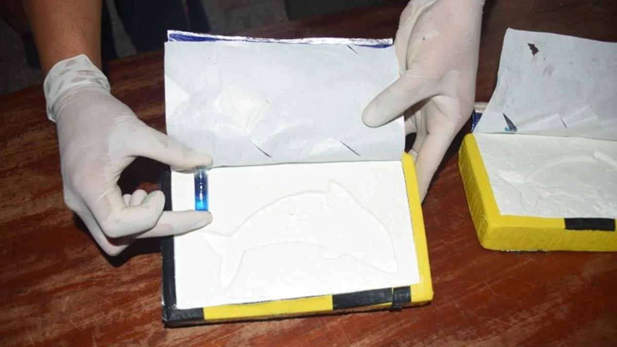 Cargamento de "El Delfín": 2 personas fueron detenidas transportando 41 kilos de cocaína