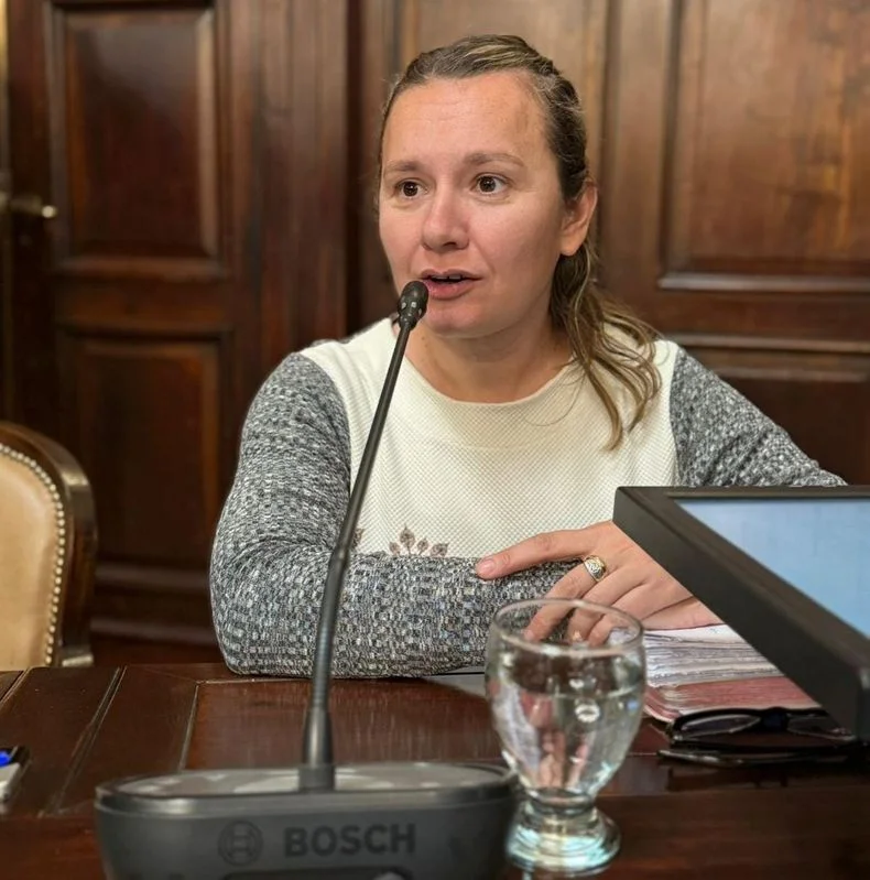 La diputada Stella Huczak (PRO) busca endurecer multas de alcoholemia en caso de funcionarios p&uacute;blicos.&nbsp;&nbsp;