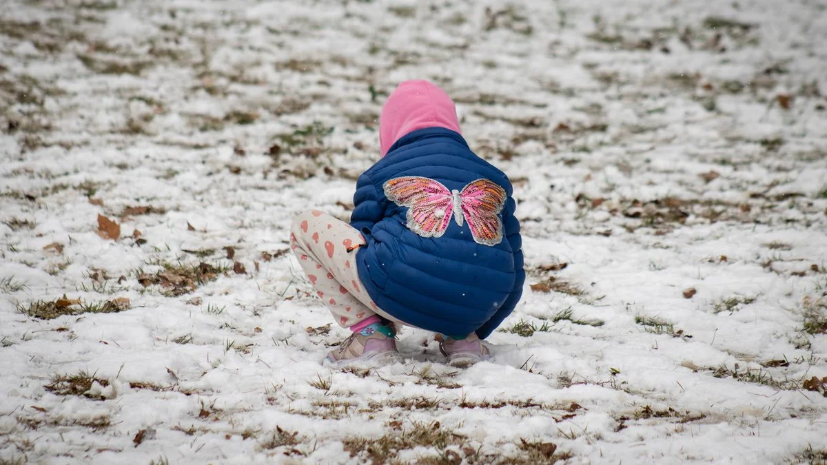 Lunes 30 de junio: suspenden clases en Mendoza durante la mañana por fuertes nevadas y ola polar