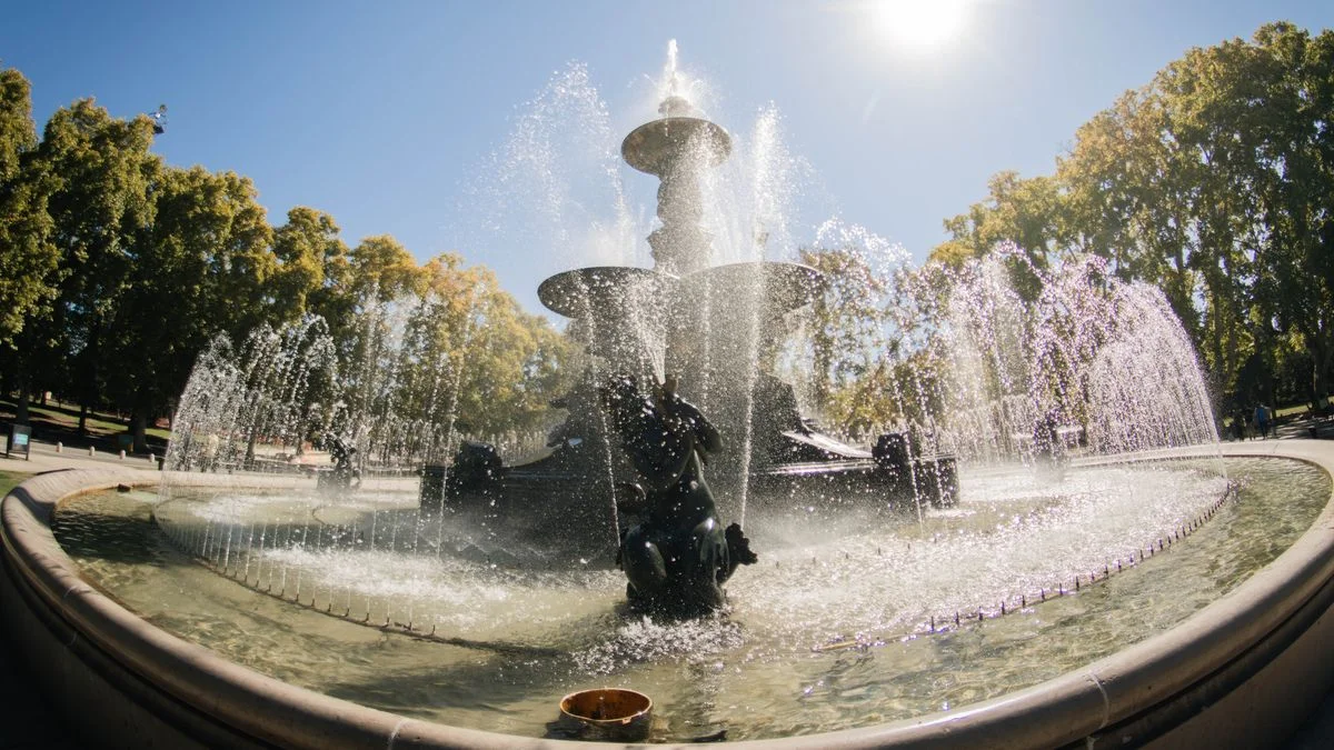 Mendoza dorada: los matices del otoño bajo el lente de El Editor