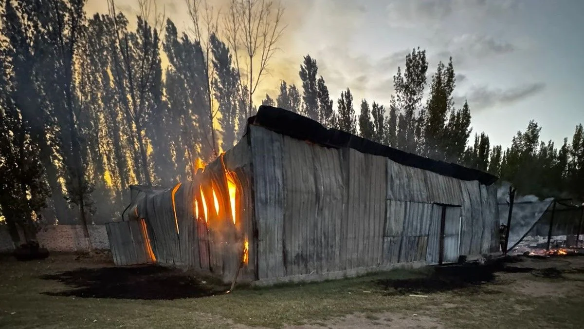 Fotos: un incendio consumió un galpón en Lavalle