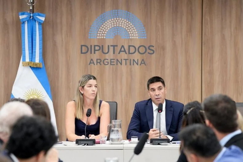 Facundo Correa Llano ya se sentó en la mesa principal de la comisión de Energía y Combustible de la Cámara de Diputados de la Nación. 