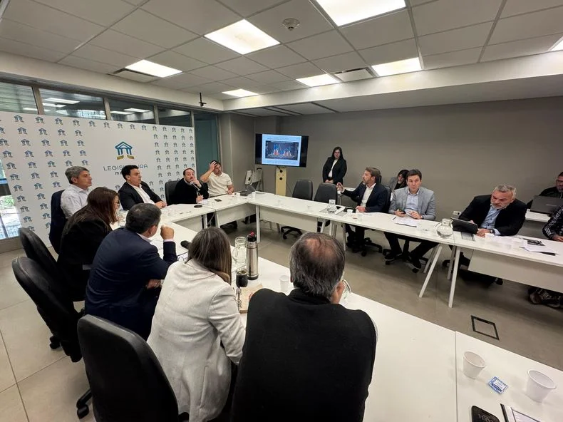 José Orts, presidente del Iscamen, ante la comisión de Economía de la que participaron varios senadores del PJ. 