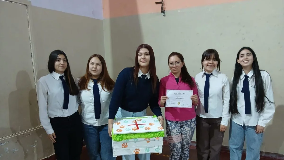 Animales agradecidos: crearon un botiquín para perros callejeros de Malargüe