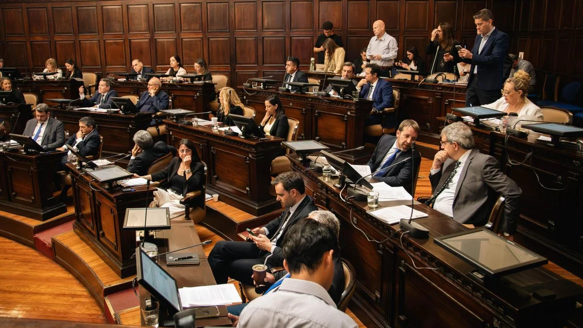 Senado: la mayoría oficialista bochó una resolución del PJ y llovieron críticas