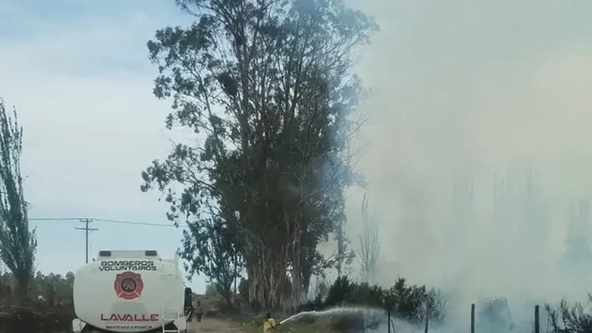 Feroz incendio en Lavalle: varias dotaciones de bomberos trabajaron para contener las llamas