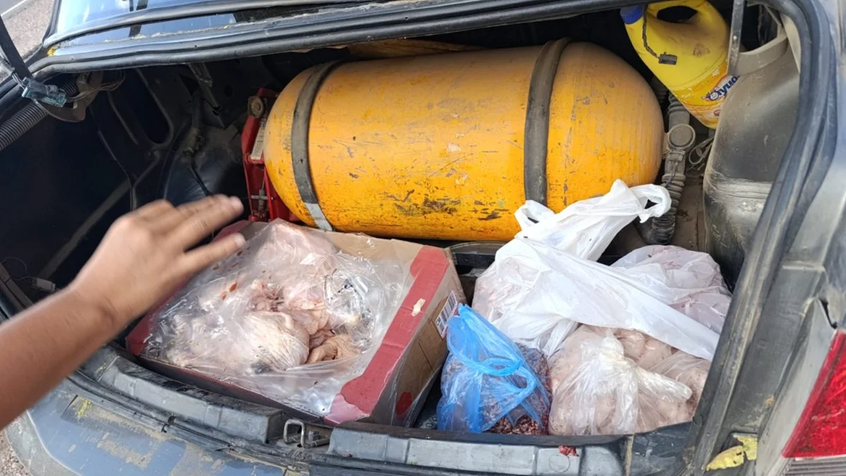 Repartía carne en mal estado: decomisaron la mercadería y secuestraron el vehículo en San Martín