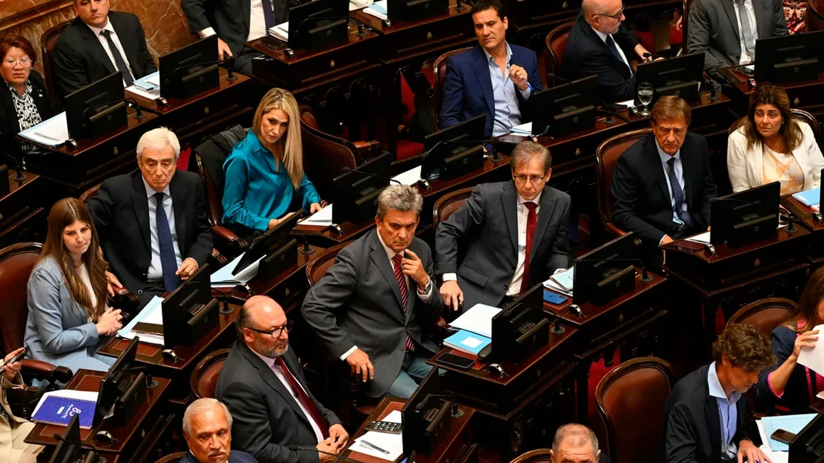 Tras postergar Ficha Limpia, el Senado abre el recinto para rendirle homenaje al papa Francisco