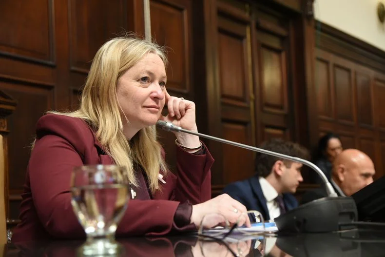 La vicegobernadora Hebe Casado, al frente de la sesi&oacute;n del Senado que aprob&oacute; los dos proyectos.&nbsp;